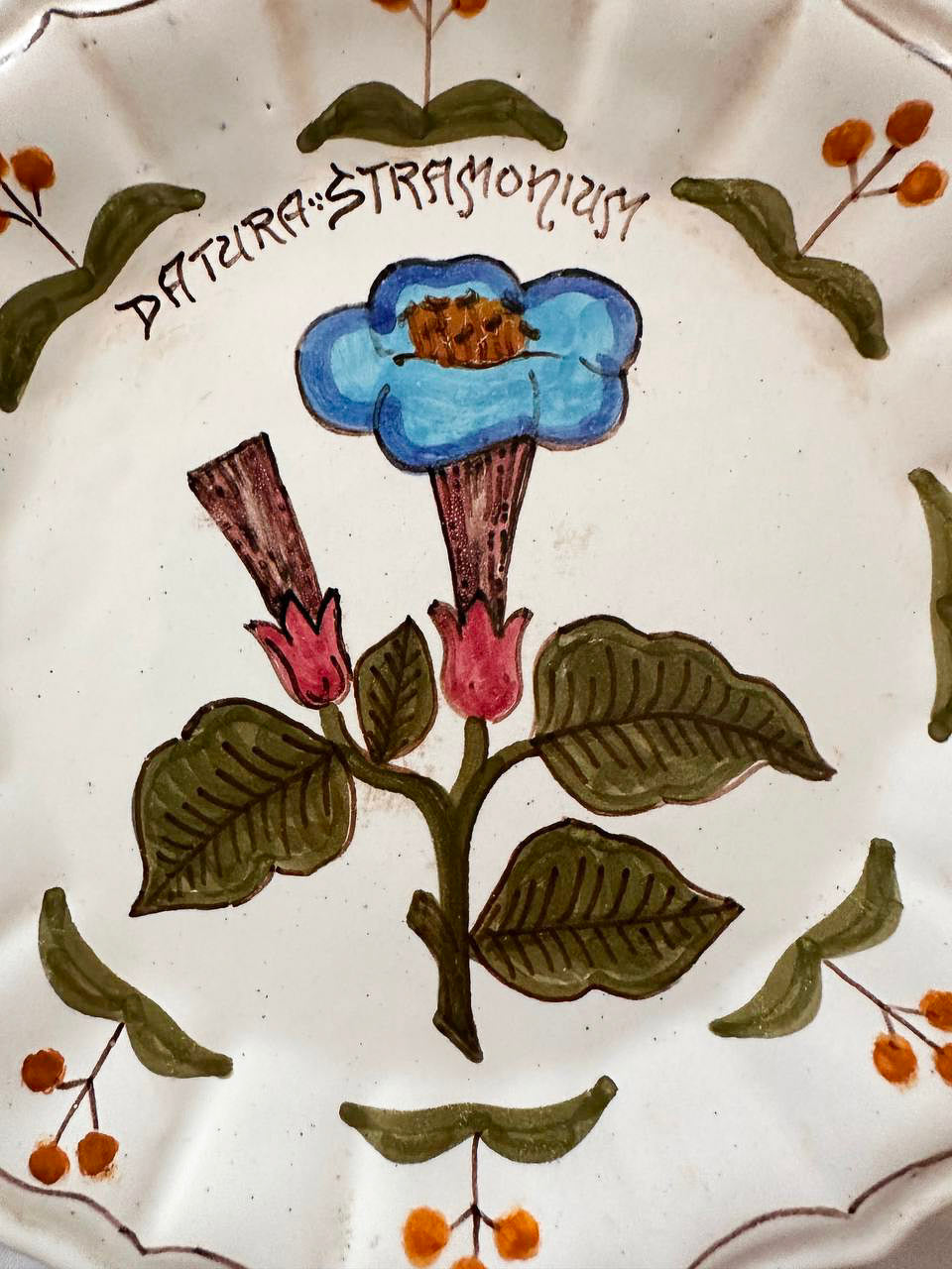 Set 5 piatti da parete - Rampini Gubbio