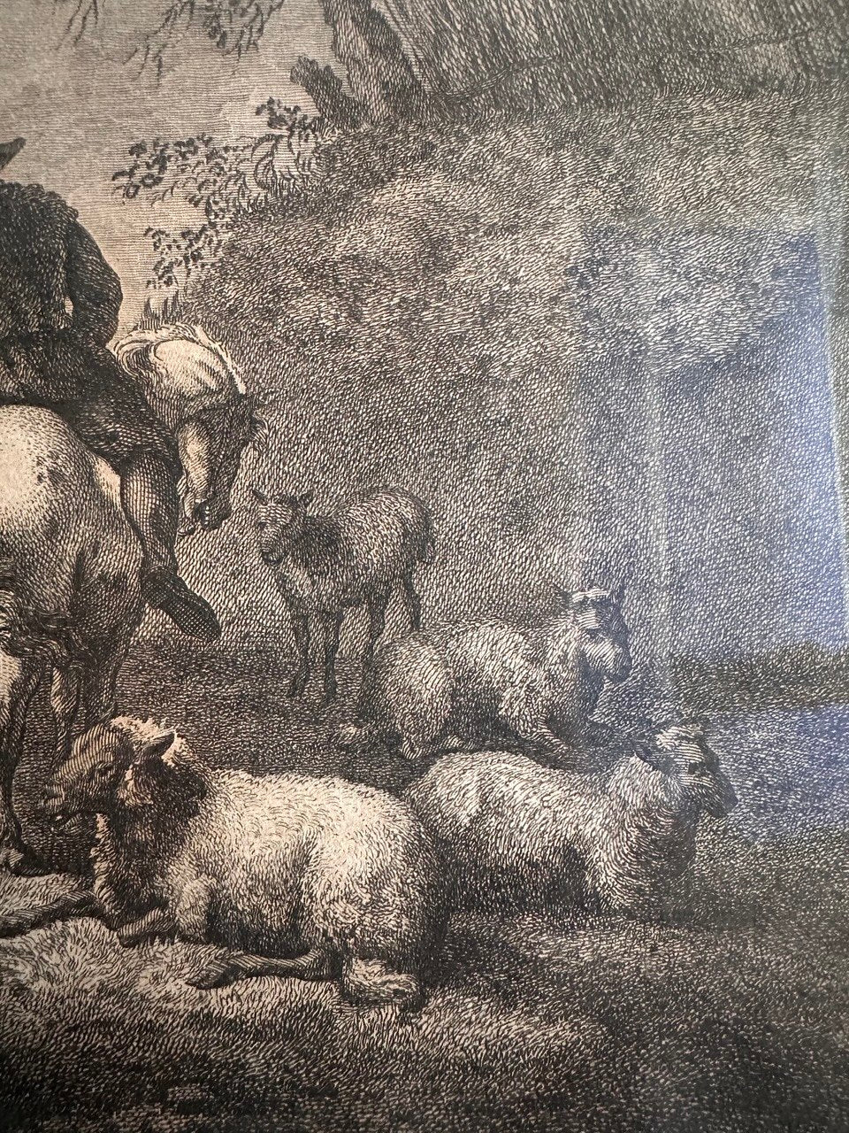 Incisioni francesi - Thomas Major