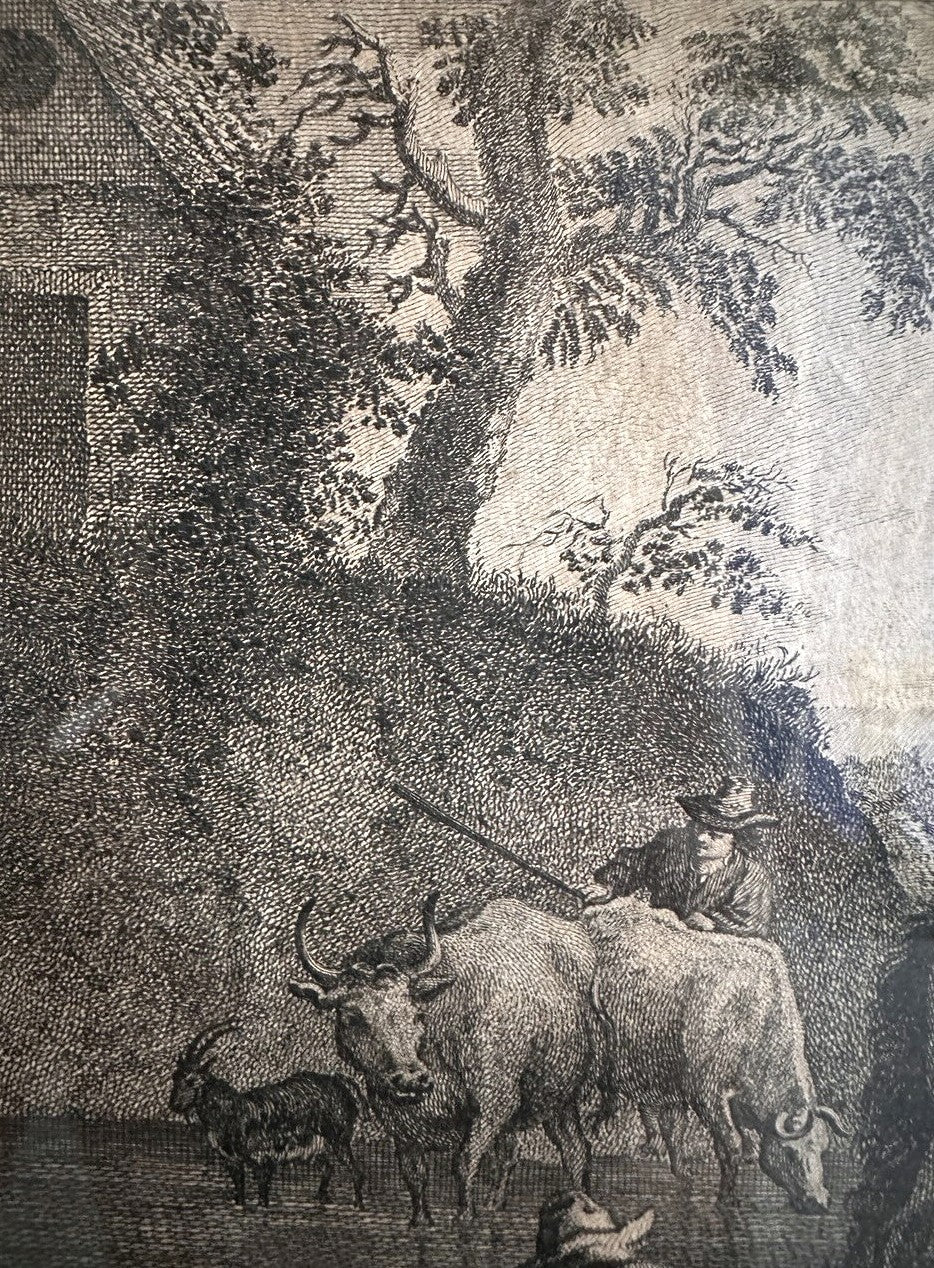 Incisioni francesi - Thomas Major