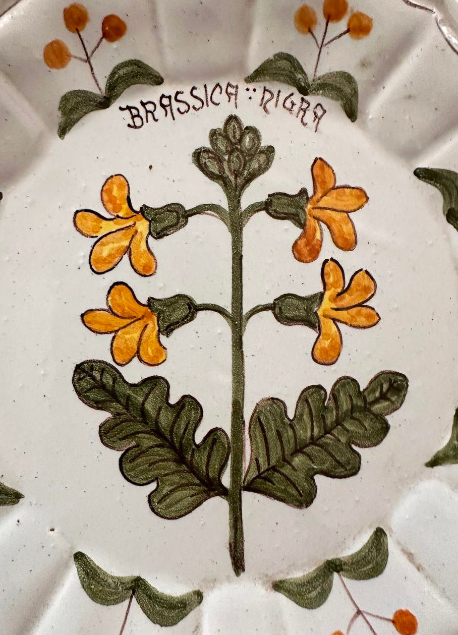 Set 5 piatti da parete - Rampini Gubbio